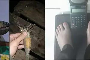 10 Momen absurd pakai timbangan ini bikin gagal paham