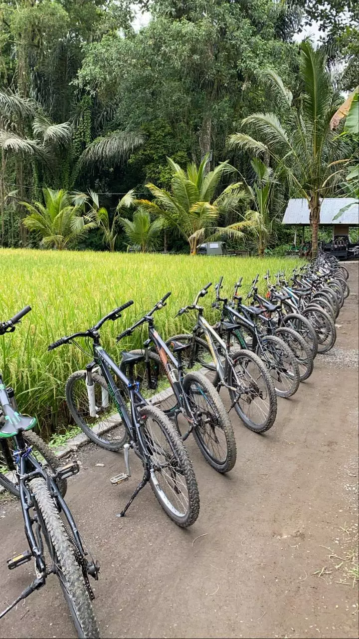 destinasi wisata di Bali Tengah © 2020 brilio.net