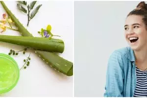 5 Cara membuat masker dari lidah buaya untuk memutihkan wajah
