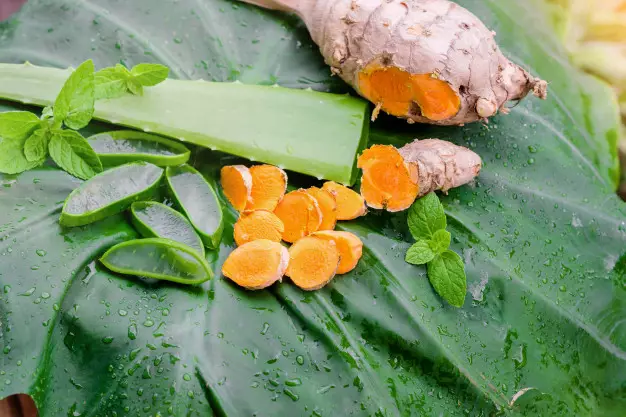 Cara membuat masker dari lidah buaya dan kunyit freepik.com