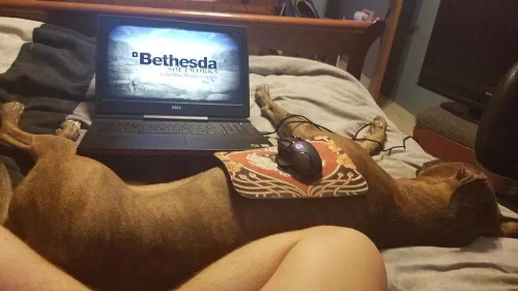 cara atasi masalah dadakan brightside.me