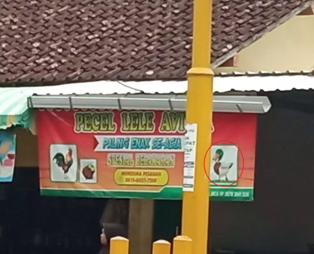 warung pecel lele berbagai sumber warung pecel lele berbagai sumber