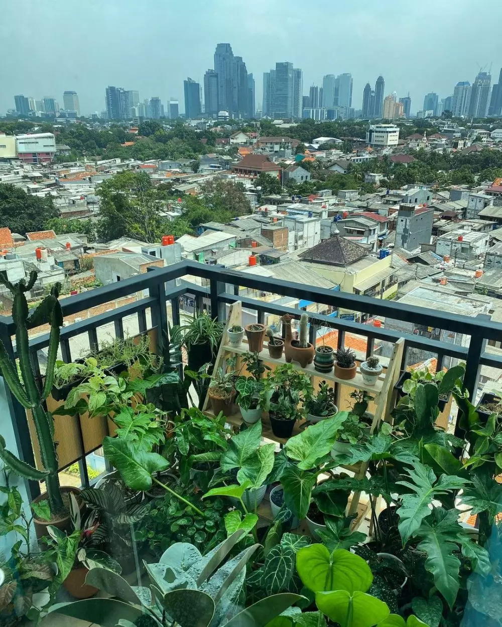 kebun rooftop Meira Anastasia Instagram kebun rooftop Meira Anastasia Instagram