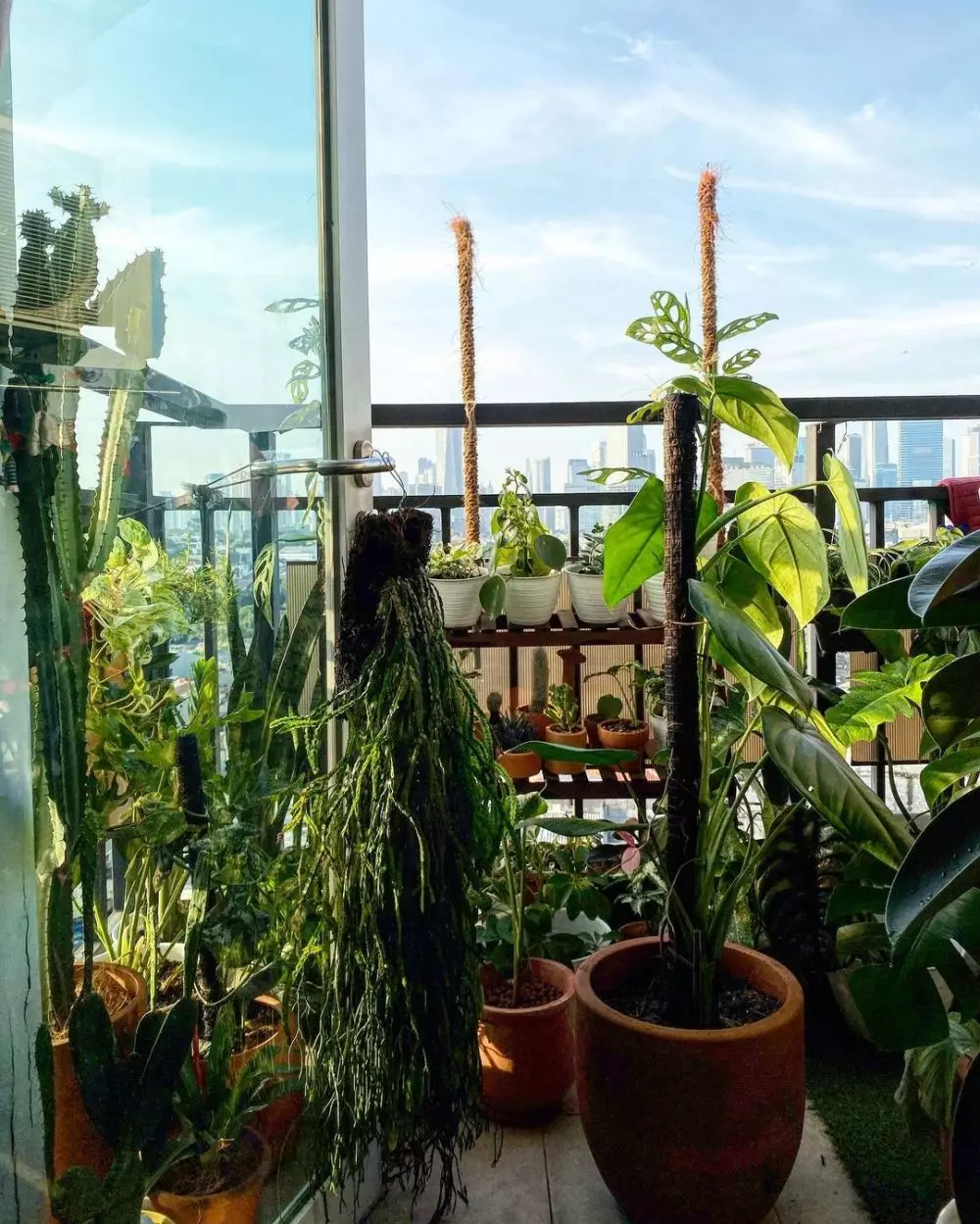 kebun rooftop Meira Anastasia Instagram kebun rooftop Meira Anastasia Instagram