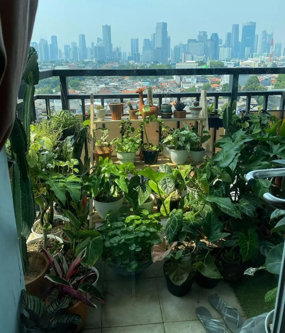 kebun rooftop Meira Anastasia Instagram kebun rooftop Meira Anastasia Instagram