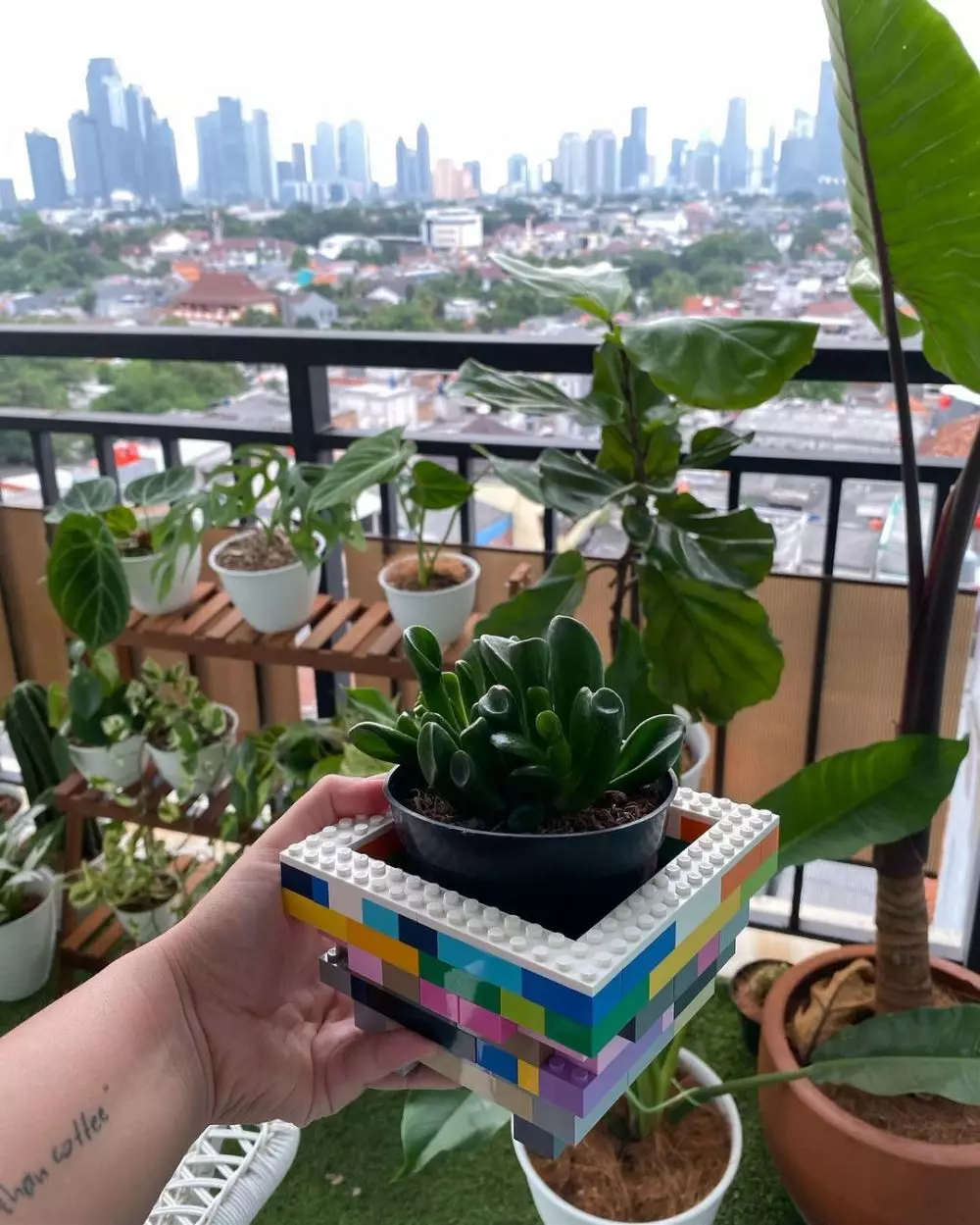 kebun rooftop Meira Anastasia Instagram kebun rooftop Meira Anastasia Instagram