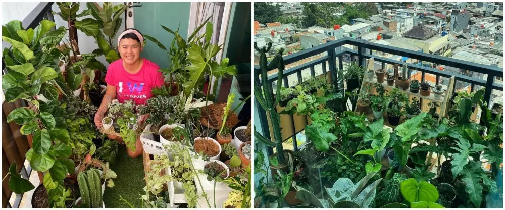 Kebun rooftop seleb © 2020 brilio.net