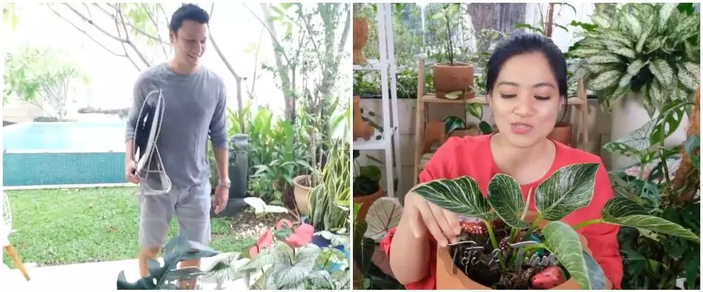 Kebun rooftop seleb © 2020 brilio.net