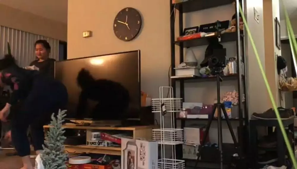 Apartemen Gisela Cindy di Kanada © 2020 brilio.net YouTube Apartemen Gisela Cindy di Kanada © 2020 brilio.net YouTube