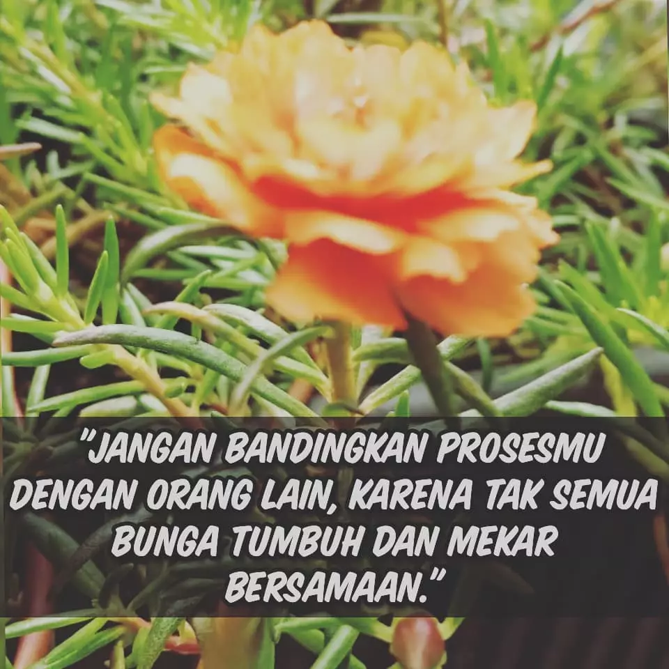 Kata bagus tentang bunga ©Instagram