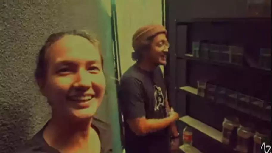 7 Seleb ikan cupang © YouTube 7 Seleb ikan cupang © YouTube