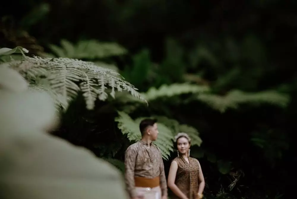 Fakta Donne Maula berbagai sumber