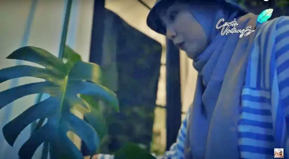 Potret koleksi tanaman Fenita Arie YouTube