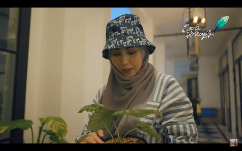 Potret koleksi tanaman Fenita Arie YouTube