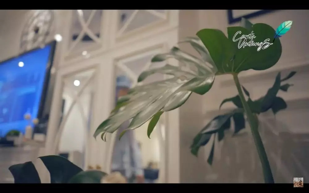 Potret koleksi tanaman Fenita Arie YouTube