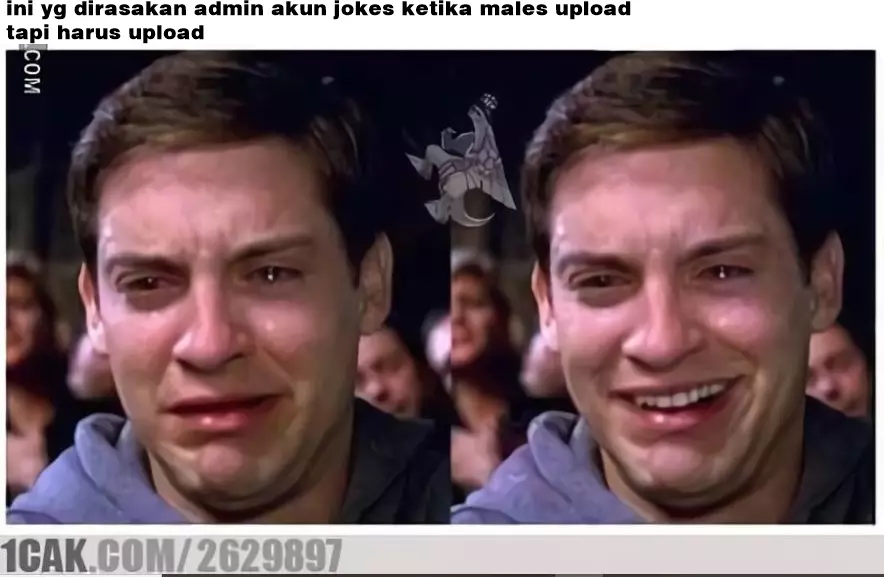 meme admin akun jokes Berbagai sumber meme admin akun jokes Berbagai sumber