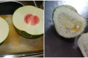 10 Momen zonk saat kupas buah, mau ketawa tapi kasihan