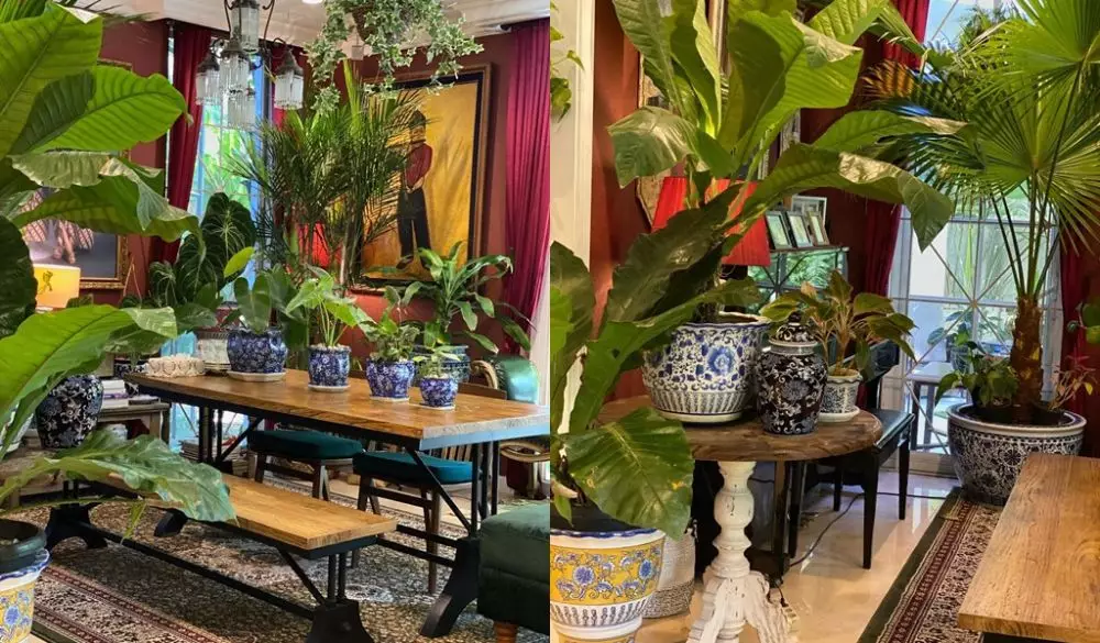 Penampakan kebun dalam rumah seleb © Instagram Penampakan kebun dalam rumah seleb © Instagram