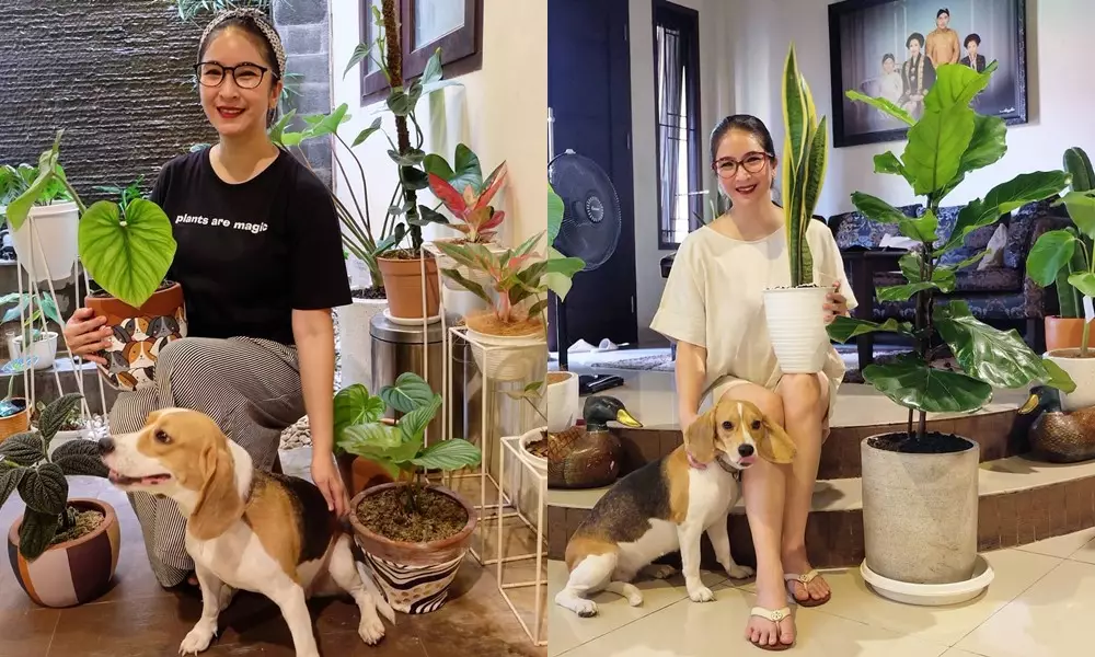 Penampakan kebun dalam rumah seleb © Instagram Penampakan kebun dalam rumah seleb © Instagram
