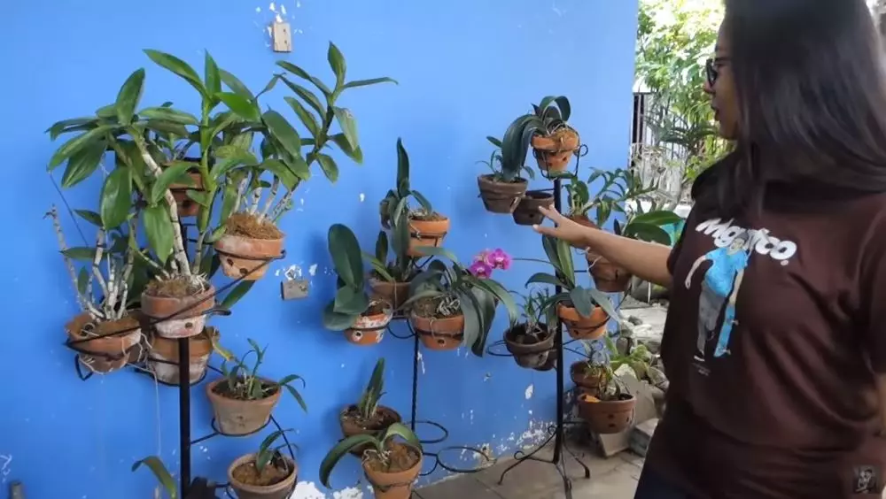 rumah orang tua Paula di Semarang © YouTube