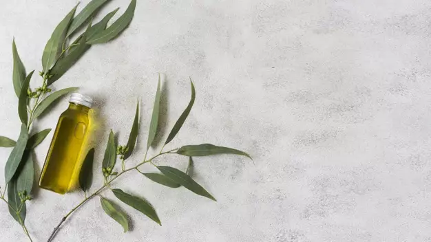 masker bibir lidah buaya © freepik.com