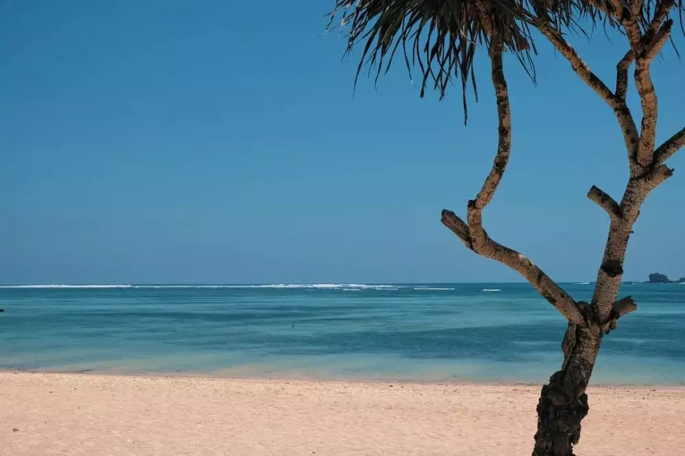 Spot surfing di Mandalika © 2020 brilio.net