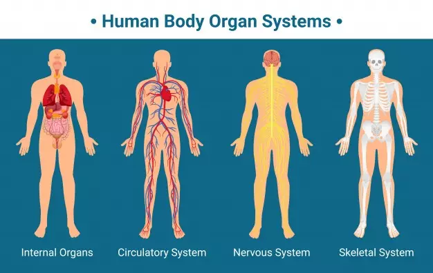Manfaat kesehatan sarang walet © 2020 brilio.net Manfaat kesehatan sarang walet © 2020 brilio.net