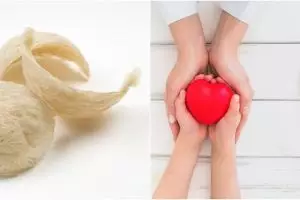 10 Manfaat sarang burung walet untuk kesehatan, baik bagi jantung