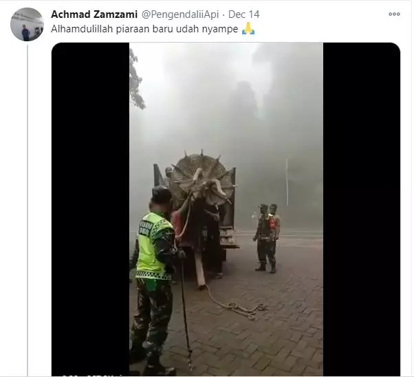 dinosaurus di magetan © Berbagai Sumber