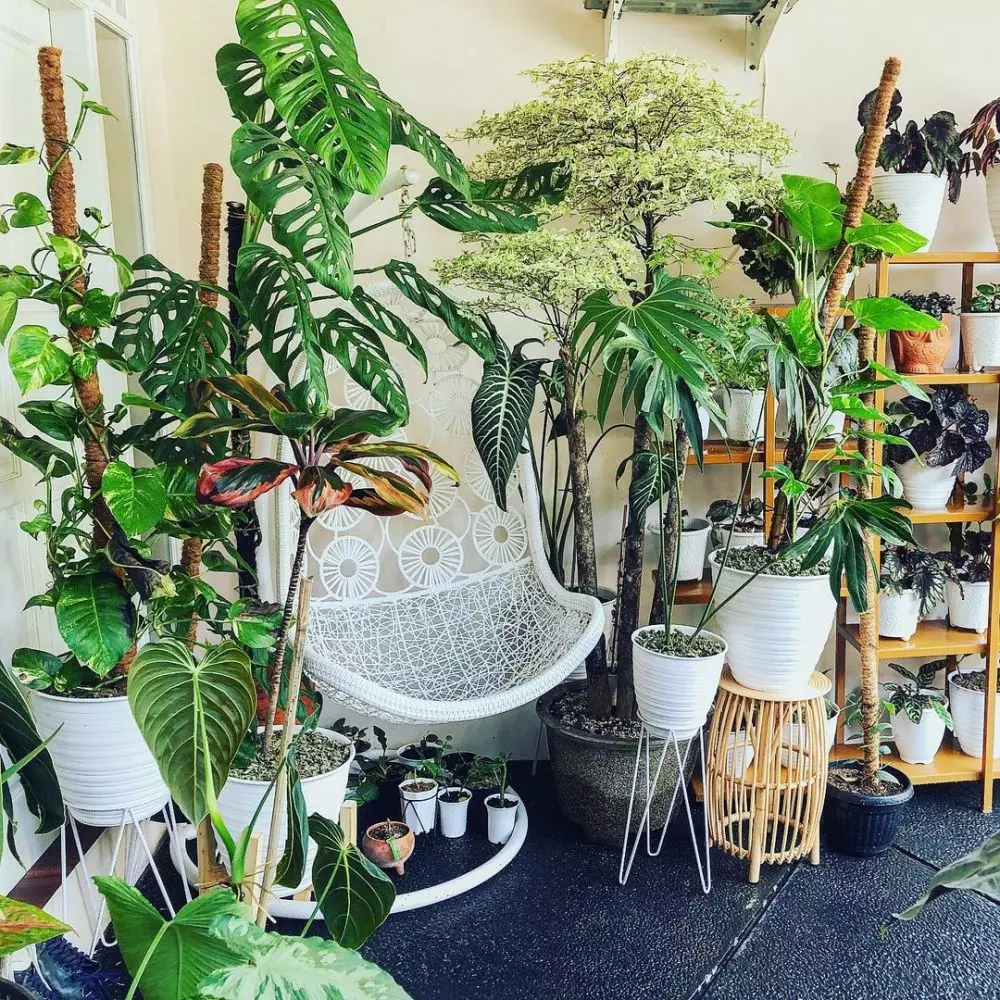 potret rumah mama rachel vennya © Instagram