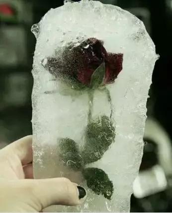 benda dibekukan absurd Berbagai sumber