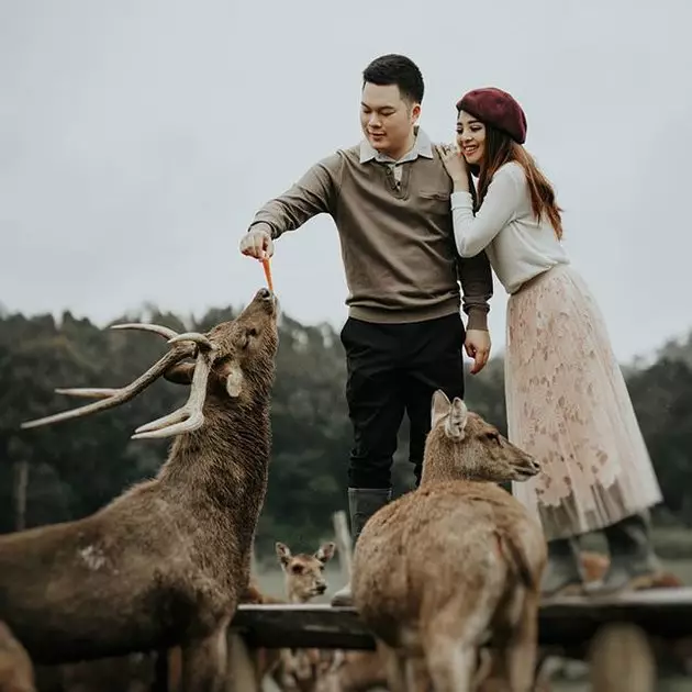 pemotretan prewedding dengan hewan © Instagram