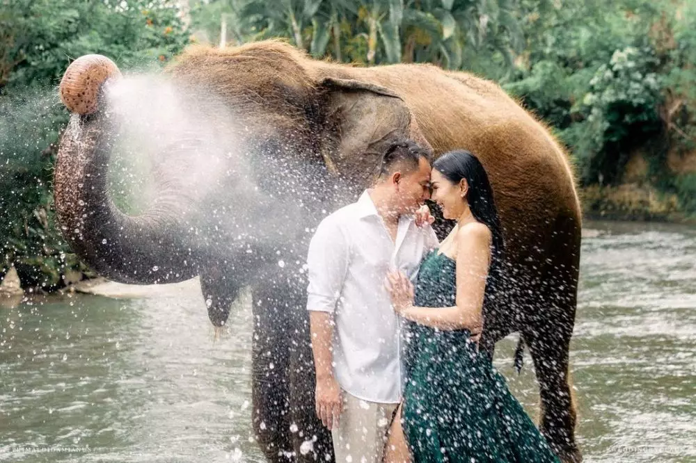 pemotretan prewedding dengan hewan © Instagram