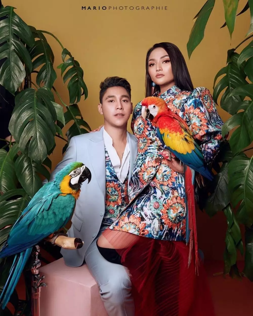 pemotretan prewedding dengan hewan © Instagram