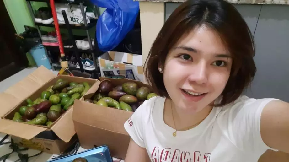 pramugari jadi penjual alpukat Berbagai sumber