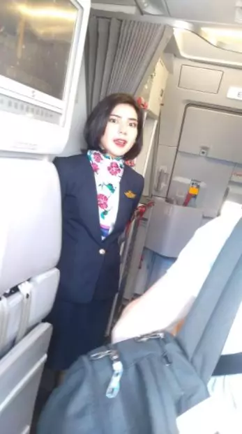 pramugari jadi penjual alpukat Berbagai sumber