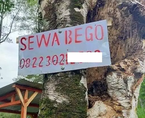 Bisnis unik warga Indonesia berbagai sumber