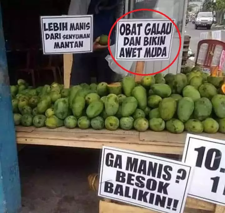 Bisnis unik warga Indonesia berbagai sumber