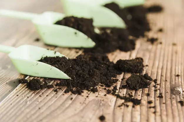 Akibat negatif penggunaan pupuk berlebih pada tanaman © freepik.com