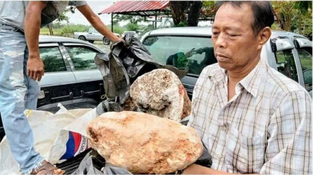 nelayan thailand temukan ambergris © Berbagai Sumber