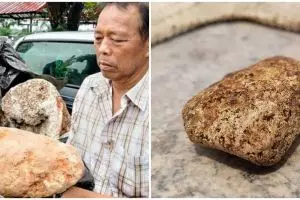 Temukan muntahan paus berharga fantastis, nelayan ini mendadak kaya