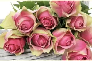 40 Kata-kata caption keindahan bunga, penuh makna