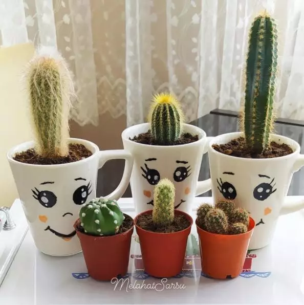 Jenis tanaman hias indoor © 2020 brilio.net