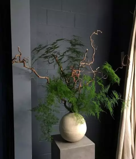 Jenis tanaman hias indoor © 2020 brilio.net