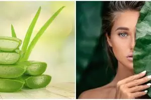 Cara membuat masker lidah buaya untuk kulit kering