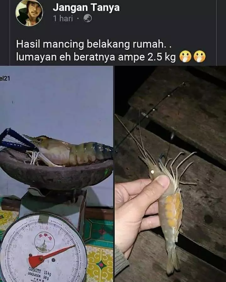 orang gagal pamer Berbagai sumber orang gagal pamer Berbagai sumber