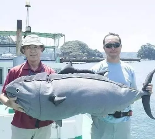 orang gagal pamer Berbagai sumber orang gagal pamer Berbagai sumber