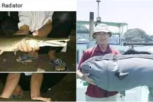 10 Potret orang gagal pamer ini endingnya malah ngenes