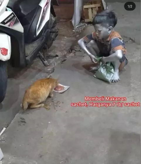 pengamen silver beri makan kucing Berbagai sumber pengamen silver beri makan kucing Berbagai sumber