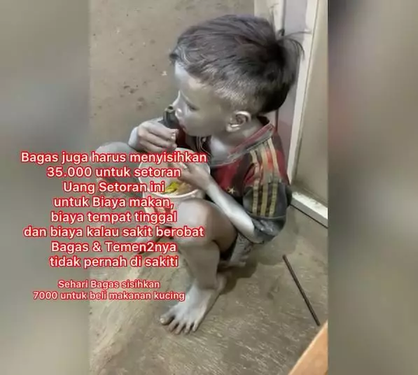 pengamen silver beri makan kucing Berbagai sumber pengamen silver beri makan kucing Berbagai sumber